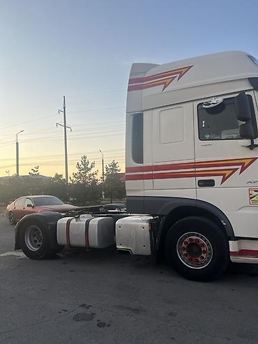даф одиночка: Тягач, DAF, 2020 г. — 8