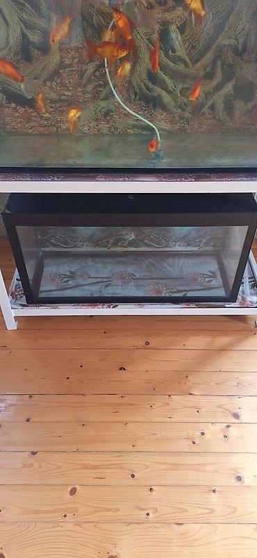 zavod akvariumu: Dördbucaq akvarium, Boş, 96 l, Ünvandan götürmə — 3