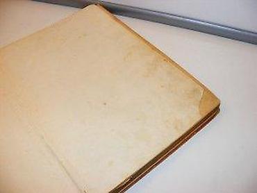 cokule: ZABAVNIK - ZABAVNI LIST U STRIPU (DEJVI KROKET)-pikova dama-duško — 5