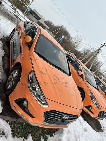 Hyundai: Hyundai Sonata: 2019 г., 2 л, Автомат, Газ, Седан — 5