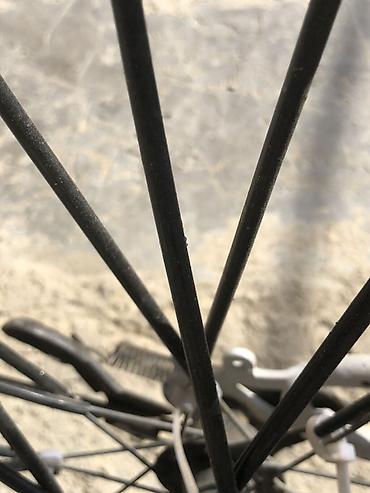 format velosiped: Velosiped satılır 24 lukdur tək prablem Tormuz bağlanmalıdı birdə — 5