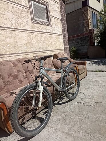 велосипед для детей 18 дюймов: AZ - City bicycle, Велосипед алкагы M (156 - 178 см), Титан, Германия, Колдонулган