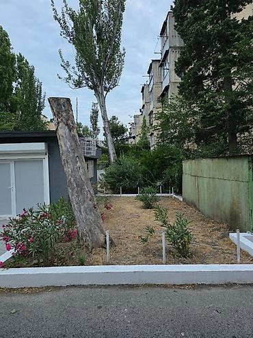 zamin emlak: Kirayə üçün ayrıca tikili – ofis/kiçik obyekt - Ayrıdayan — 3