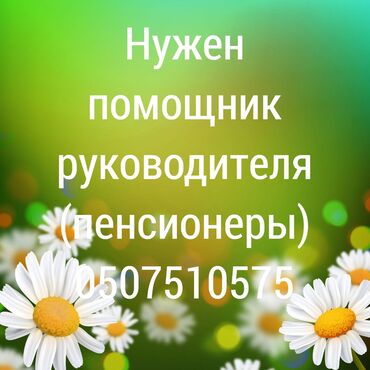 Сетевой маркетинг: Нужен помощник руководителя