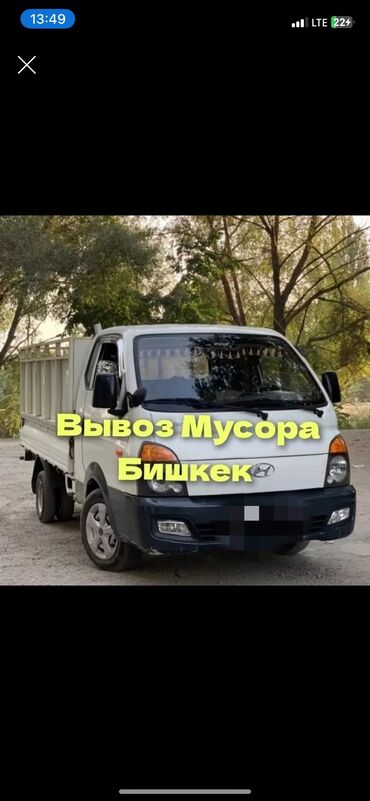 мини грузовой: Вывоз строй мусора, По городу, с грузчиком