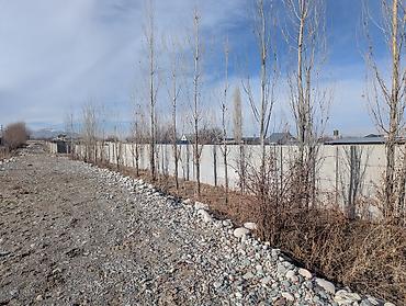 Продажа участков: 5 соток, Для строительства, Красная книга — 4