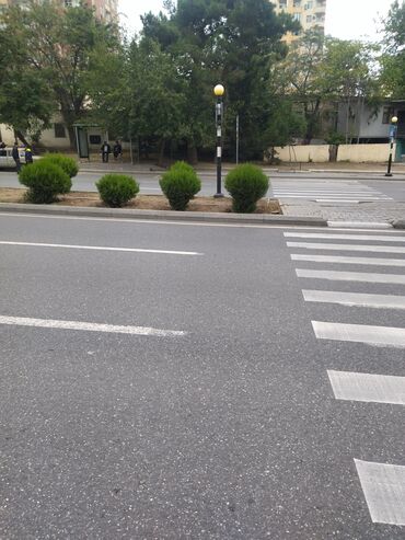 Digər kommersiya daşınmaz əmlakı: Salam. Abyek icarəyə verilir. yol kənarı 2 otaqlı su işıq qaz daimi