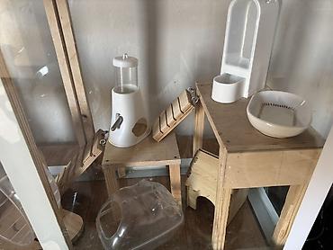 bakida it satisi: Çunqarık və Hamster üçün geniş akvarium tipli qəfəs və aksesuar — 3