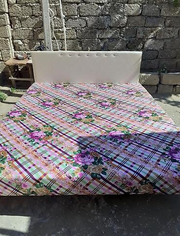 velo home: Kravat taza — 1
