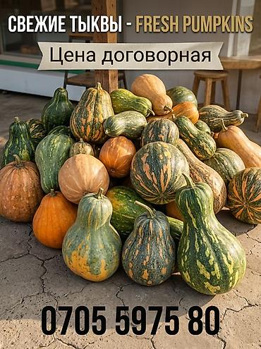 свекольный сок: Свежие тыквы — FRESH PUMPKINS - Разные сорта и размеры: мускатные — 1