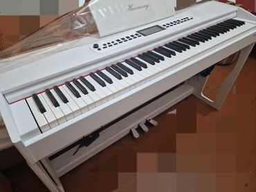 piano aliram: Пианино, Новый