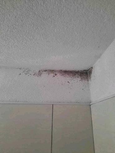 Kućna hemija i proizvodi za kuću: 🌿 PDP koncentrat – efikasno protiv buđi! 🌿 Za zdrav i čist dom bez — 7