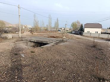 Продажа участков: 6 соток, Красная книга — 3