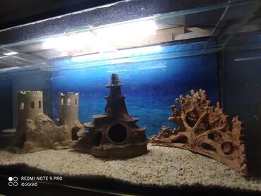 akvarium filtir: Akvarium ücün dekor fabrik mali deyil hamsi əl işidi Giymət