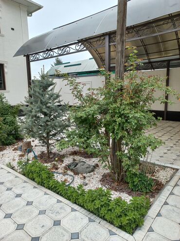 Продажа домов: Дом, 240 м², 6 комнат, Собственник, ПСО (под самоотделку) at lalafo.kg — 3 Продажа домов: Дом, 240 м², 6 комнат, Собственник, ПСО (под самоотделку) — 3