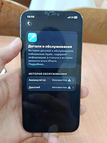 Apple iPhone: IPhone 12 Pro Max, Графит, Чехол — 15