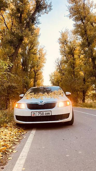 Skoda Octavia: 2015 г., 1.6 л, Кол менен иштөөчү, Бензин, Седан — 2