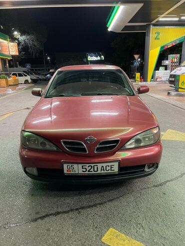 нисан винграуд: Nissan Primera: 2000 г., 1.6 л, Механика, Бензин, Седан