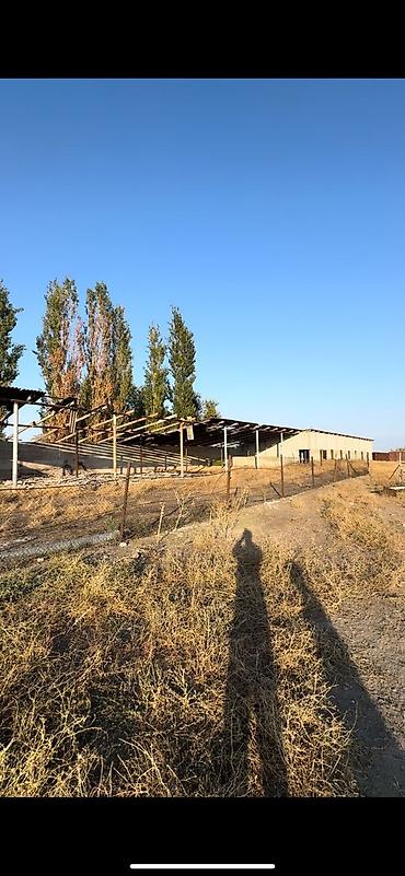 оптовый товар: Farm КРС, 97 соток, Действующий, Частично с оборудованием, Электричество, Скважина — 9