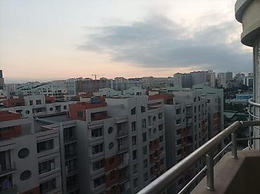 Mənzillər: 1 otaqlı, 67 kv. m — 4