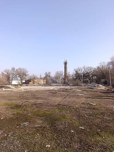 коммерческая недвижимость бишкек аренда: 200 соток Для бизнеса, Электричество — 2