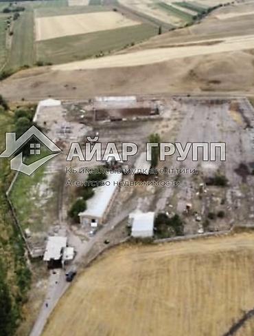 не законченный проект: 300 соток, Для строительства, Договор купли-продажи, Красная книга, Тех паспорт — 1