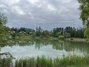 бетон сокулук: Тренер