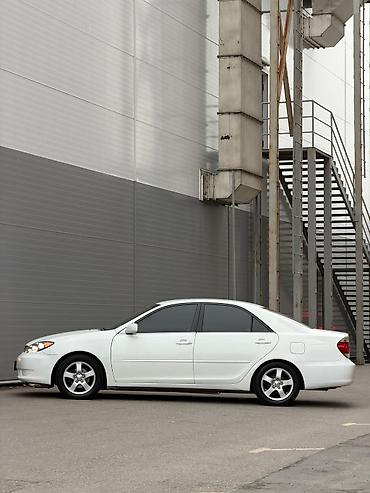 Toyota: Toyota Camry: 2006 г., 2.4 л, Автомат, Бензин, Седан — 4