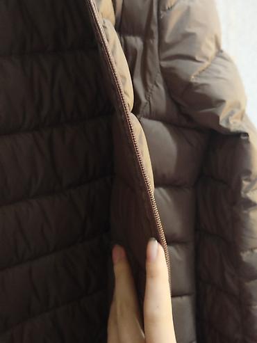 Ветровки: Ветровка, Осень-весна, XS — 5