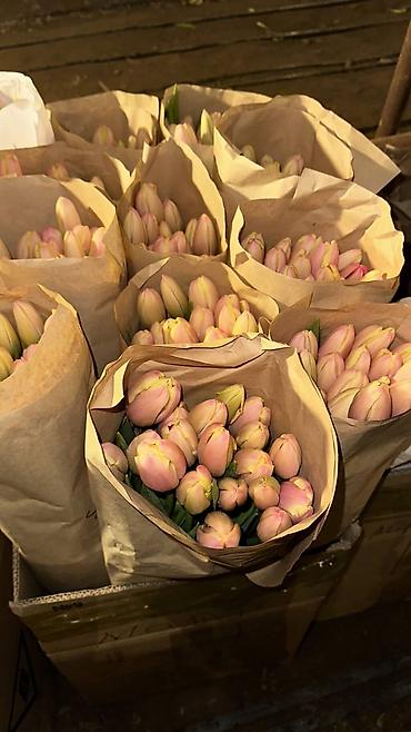 Букеты из живых цветов: Тюльпаны в крафтовой упаковке — сборные букеты из свежесрезанных — 9