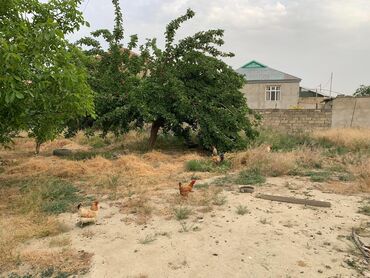 Torpaq sahələrinin satışı: 11 sot, Biznes üçün, Mülkiyyətçi