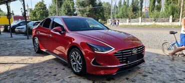 hyundai sonata dn8: Hyundai Sonata: 2019 г., 2 л, Автомат, Газ, Седан