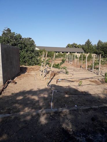 Torpaq sahələrinin satışı: 19 sot, Kupça (Çıxarış), Texniki pasport -da lalafo.az — 8 Torpaq sahələrinin satışı: 19 sot, Kupça (Çıxarış), Texniki pasport — 8