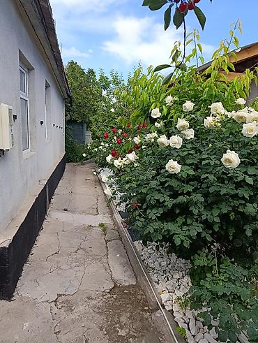1 bedroom: 2 комнаты, Парам без детей, С мебелью полностью — 5