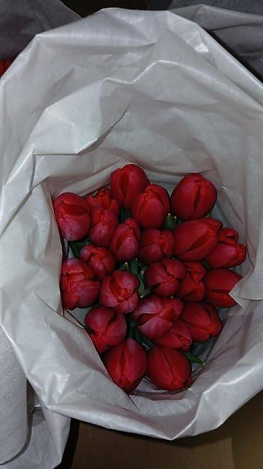 Букеты из живых цветов: Букеты из тюльпанов - Классические моно‑букеты и мини‑букеты в — 8