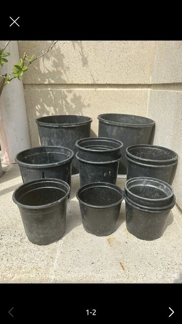 Уличные растения: Gül və dibçək qabları satılır.Plastik,kauçuk materyaldır.Sayı 50