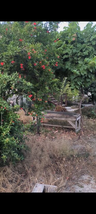 Həyət evi alıram: 9 kv. m, 6 otaqlı, Qaz, İşıq, Su — 10