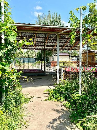 Продажа дач: 🌿✨ Устали от пробок, шума и городского смога? Представьте, что уже в — 16
