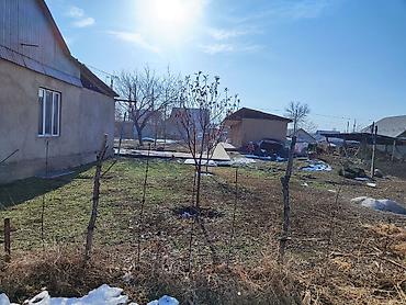 Жер тилкелерин сатуу: 12 соток, Курулуш, Кызыл китеп, Техпаспорт, Сатып алуу-сатуу келишими — 2