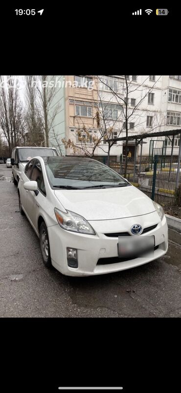 Toyota: Toyota Prius: 2010 г., 1.8 л, Вариатор, Гибрид, Хэтчбэк