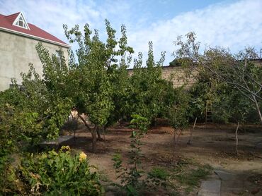 Həyət evləri və villaların satışı: 3 otaqlı, 135 kv. m, Orta təmir — 22