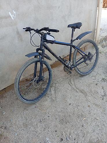 qalın teker velosiped: Şəhər və yüngül off-road üçün dağ velosipedi - Çərçivə — 1