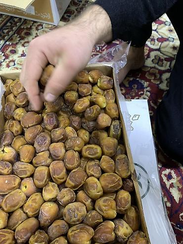 Сухофрукты, орехи, снеки: Финики натуральные (цельные плоды, с косточкой) по названию Суккари — 5