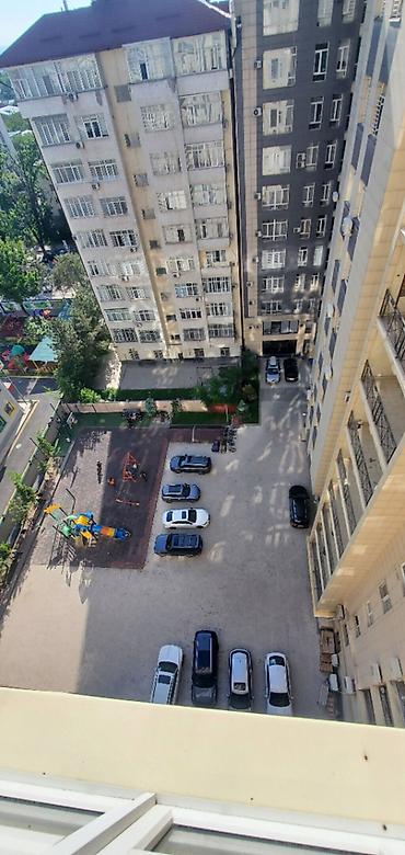 11: 2 комнаты, 58 м², Золотой квадрат Элитка, 11 этаж, Евроремонт — 4