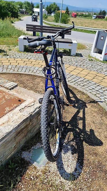 Bicikli za odrasle: Planinski bicikl Unitega X-Cross - Ram: aluminijumski, geometrija — 10