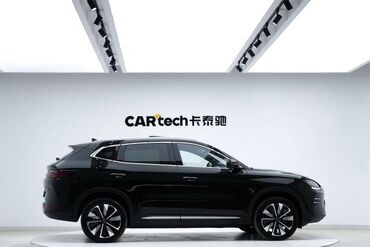 BYD: BYD Song Plus: 2024 г., 0.1 л, Автомат, Электромобиль, Кроссовер — 8