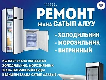 fridge: ХОЛОДИЛЬНИК СИГНАЛИЗИРУЕТ? Мигает лампочка "Alarm" или издает писк? — 1