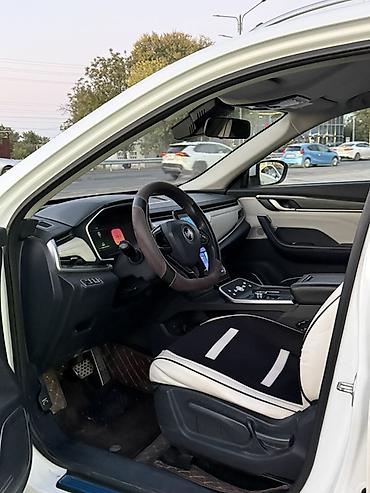 Weltmeister: Weltmeister EX5, 2020 г., 200000 км, Передний, В наличии — 6