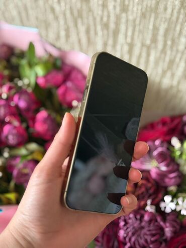 Apple iPhone: IPhone 13 Pro, 256 GB, Gümüşü, Zəmanət, Barmaq izi, Simsiz şarj