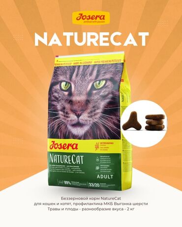 разные породы кошек: Josera NatureCat — беззерновой сухой корм для кошек и котят. Подходит